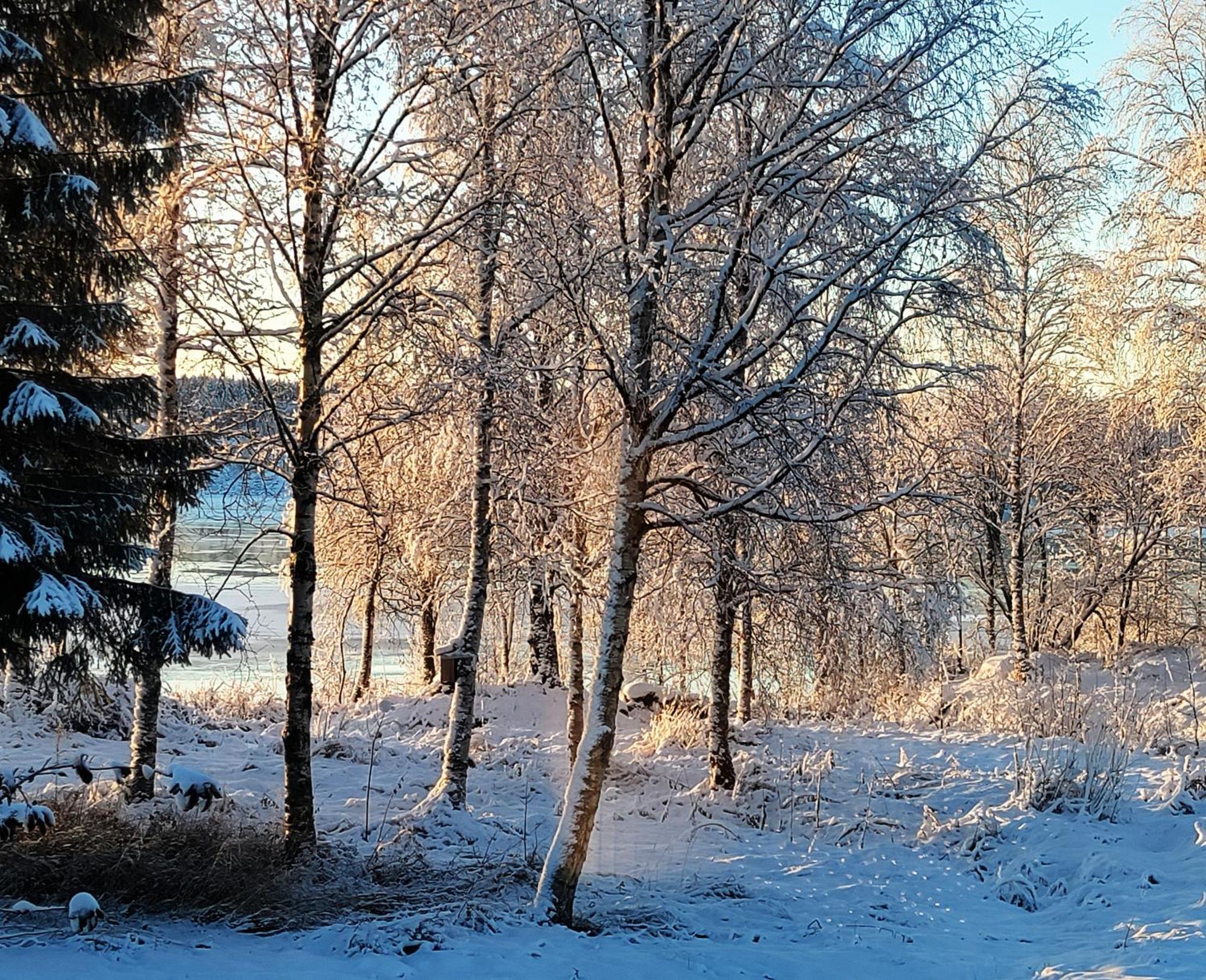 Villa Puistola & Sauna, Near Santa'S Village ロヴァニエミ エクステリア 写真